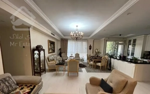 ۹۵ متر ۲ خواب (میرداماد)