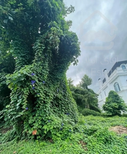 ویلا ۱۰۰۰ متر نوساز روبه کوه شهرک امیردشت کلارآباد