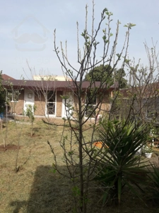 زمین ویلایی داخل بافت