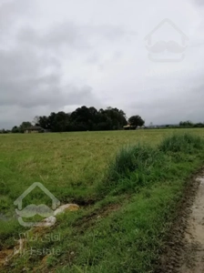 فروش زمین شالیزار