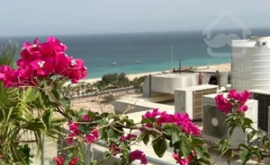 یکخواب دیددریا مرکز شهر