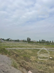 زمین ۲۰۰ متری ۲۸۰ میلیون