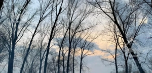 واحد دربست دوخوابه ویو طبیعت