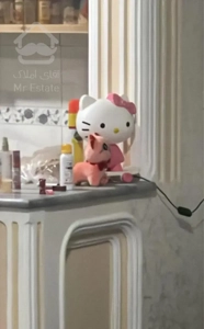 همخونه خانم دانشجو