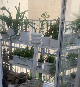 ۱۱۰متر/دوخواب/آرژانتین