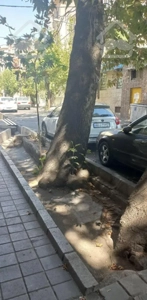 مغازه ۹۰ متر بر شریعتی