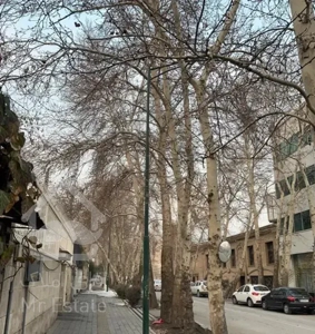 زعفرانیه کاخ ۳واحد مجزا یکجا فروش