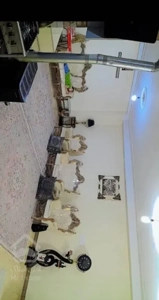 فروش آپارتمان ۶۸ متری ۱ خوابه در طیب