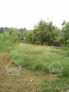 فروش زمین تجاری