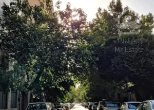سه دانگی 300 متری شمالی قائم ها