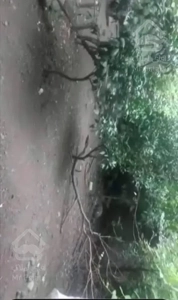 زمین در متل قو نزدیک جنگل