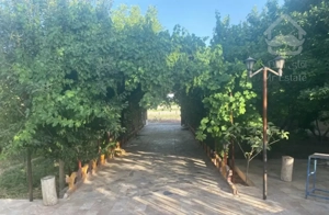 ویلا باغ زردنجان