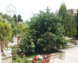 شهرک غرب حسن سیف