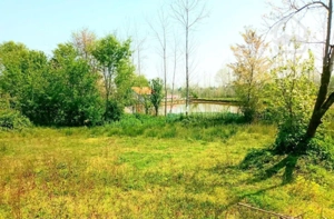 فروش خانه و محوطه همرا با شالیزار