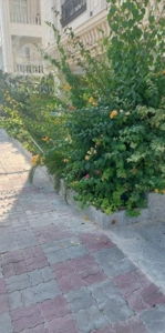 فروش ۱۱۲ متر فاز F