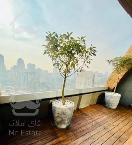 ۱۷۰متر -برج باغ /مدرن مینیمال/۱۵متر تراس- حتی مجرد