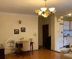 واحد ٣٩ متری ارزنده و نقلی