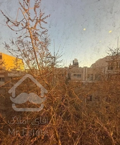 محمودیه ۲۷۰ متر دید مشجر تاپ لوکیشن