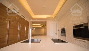 ۳۱۵ متر * نیاوران* فرعی دنج