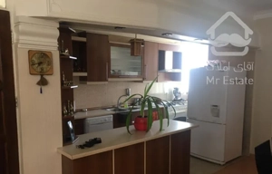 ۶۶متر /قدر السهم دار /کم واحد /سرمایه گذاری/فردوس