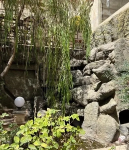 ۵۰متر پونک شهرک نفت