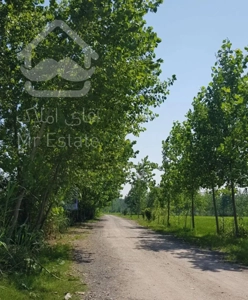 کلید خانه رویایی شما اینجاست