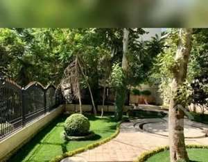 ۱۹۵ متر زعفرانیه از سه جهت نور