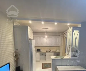 آپارتمان 66 متری . پونک (بازسازی شده)