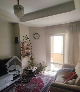 اسکندری جنوبی خیابان کلهر نقلی و شیک50متر