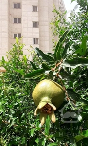 باملندبرج ۱۳۵متر۳خواب/مستر/ویو دریاچه