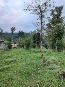 فروش زمین با ویوی عالی و قیمت باورنکردنی