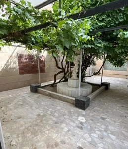 همکف ۱۱۰ متری همکف جنوبی/هنرستان