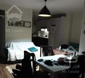 55 متری شاهین شمالی