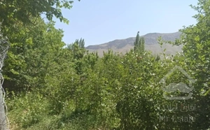 ویلا باغ 324 متری میگون خ پاسداران