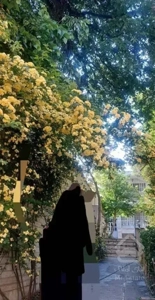 ویلایی۲ طبقه دربستی برای آرایشگاه ۲۵۰۰رهن تجریش