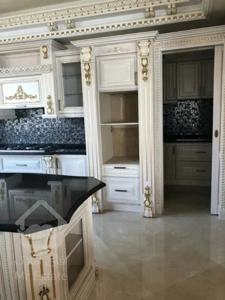 فروش 330 متری دروس