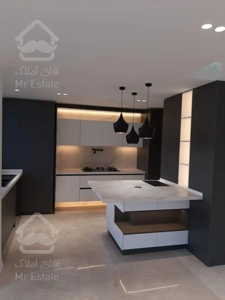 250 متر تاپ لوکیشن پاسداران