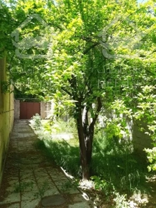 فروش باغ قدیمی کرج