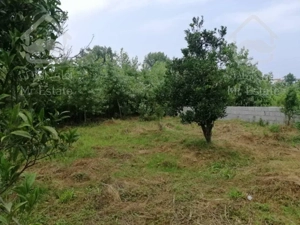 زمین مسکونی در کتالم