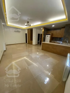 ۵۵ متر زعفرانیه خیابان علی حسینی تاپ لوکیشن