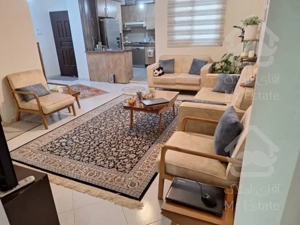 ۶۵متر نقلی و خوش نقشه