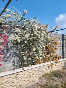 فروش ویلا باغ سرخون