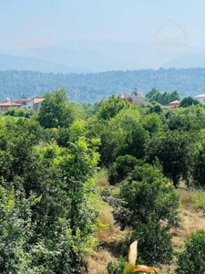 خرید و فروش  زمین سرمایه‌گذاری پر سود