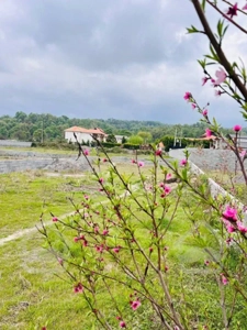 خرید و فروش زمین آماده ساخت