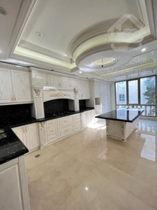 فروش آپارتمان 200 متر در دولت تکواحدی