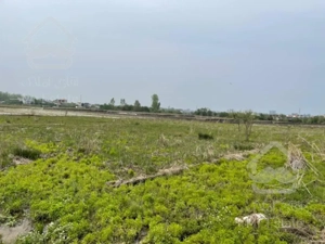 زمین ۵۰۰ متری هچیرود هرطه کلا