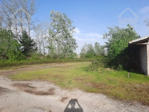 زمین صنعتی سند تک برگ / کوچصفهان سده