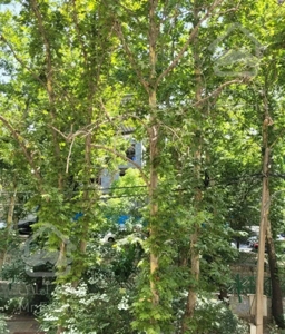 فروش آپارتمان 83متری ظفر