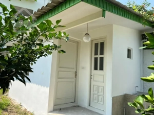 اجاره مغازه 42 متری دولت