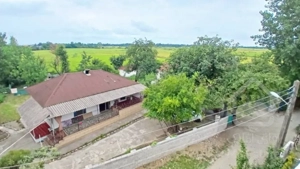 ملک مسکونی سند تک برگ